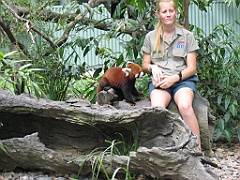 CairnsTC177 Cairns Tropical Zoo